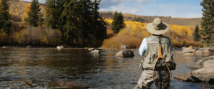 Colorado fly fishing spots near Montrose