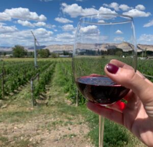 Western Colorado Wineries