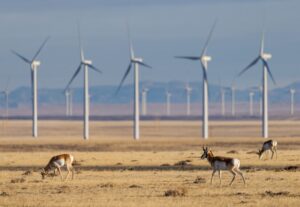 Colorado Energy Profile