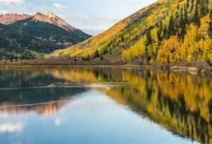Colorado Uncompahgre National Forest Color Celebration