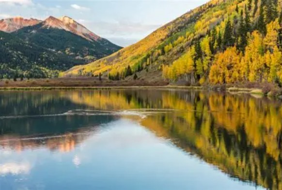 Colorado Uncompahgre National Forest Color Celebration