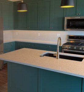 Spruce Point Montrose home design