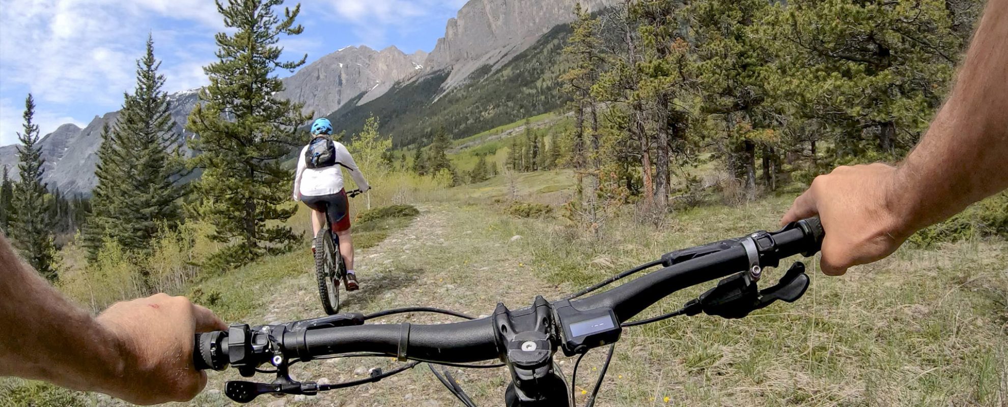 Mountain Bicycling Colorado