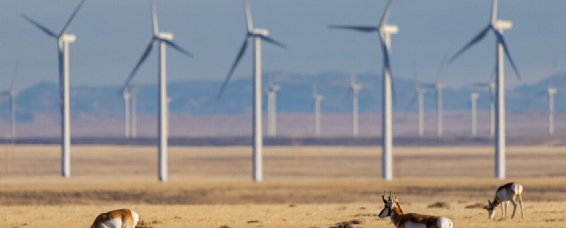 Colorado Energy Profile