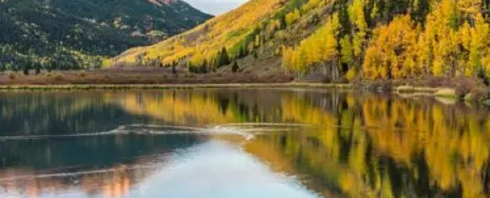 Colorado Uncompahgre National Forest Color Celebration