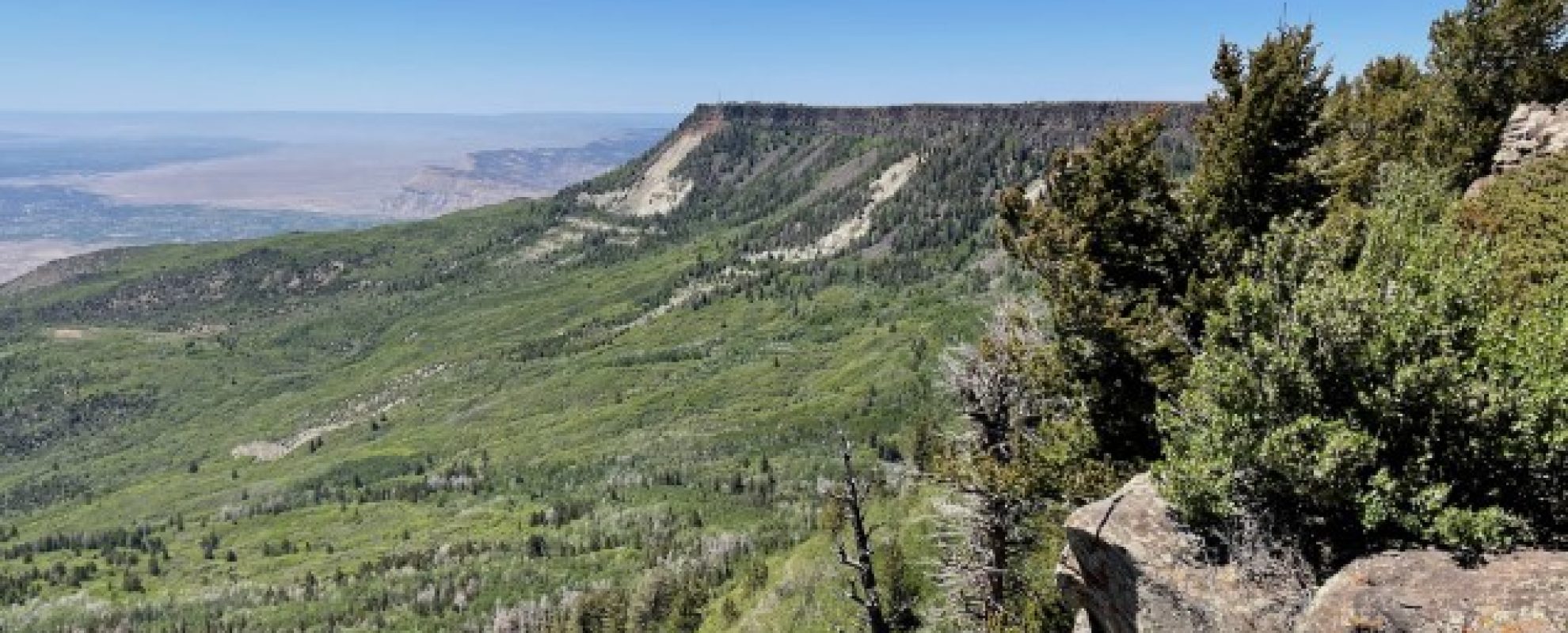Grand Mesa Colorado